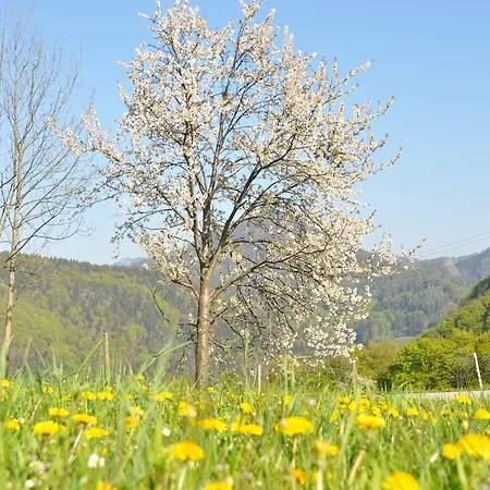 Dirndltal Apartamento *