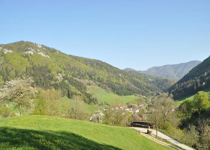 Апартаменты Dirndltal