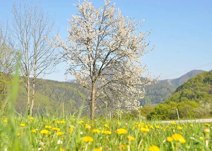 Dirndltal Apartment *