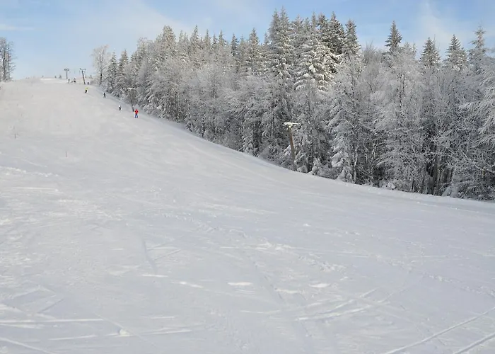 Апартаменты Dirndltal *